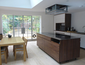 kitchen and dining with crittal
