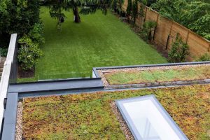 Upper Richmond_Rear_green roof